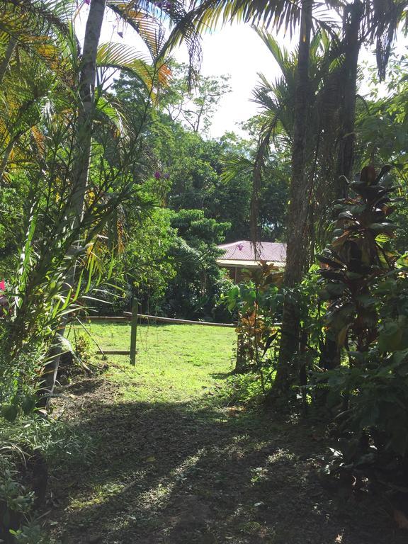Magellan Boutique Hotel Cahuita Luaran gambar