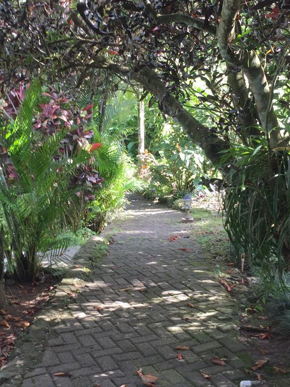 Magellan Boutique Hotel Cahuita Luaran gambar