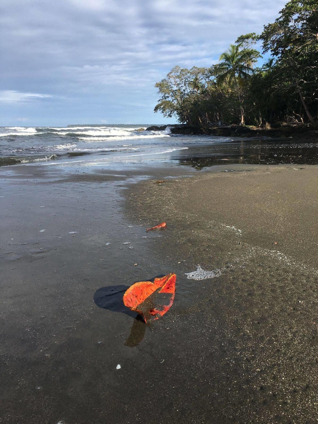 Magellan Boutique Hotel Cahuita Luaran gambar